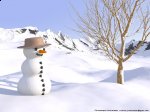 http://forum.anticonceptionale.ro/uploads/thumbs/11176_snowman.jpg