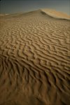 http://forum.anticonceptionale.ro/uploads/thumbs/11455_sahara-desert-sand-dune.jpg