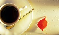 http://forum.anticonceptionale.ro/uploads/thumbs/18627_1181587-1280x768-autumn-coffee.jpg