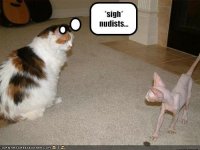 http://forum.anticonceptionale.ro/uploads/thumbs/30644_funny-pictures-cat-does-not-like-nudists.jpg