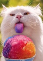 http://forum.anticonceptionale.ro/uploads/thumbs/30644_slurpee-tongue-cat.jpg