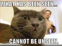 http://forum.anticonceptionale.ro/uploads/thumbs/33245_funny-pictures-scared-cat-naked-guy.jpg